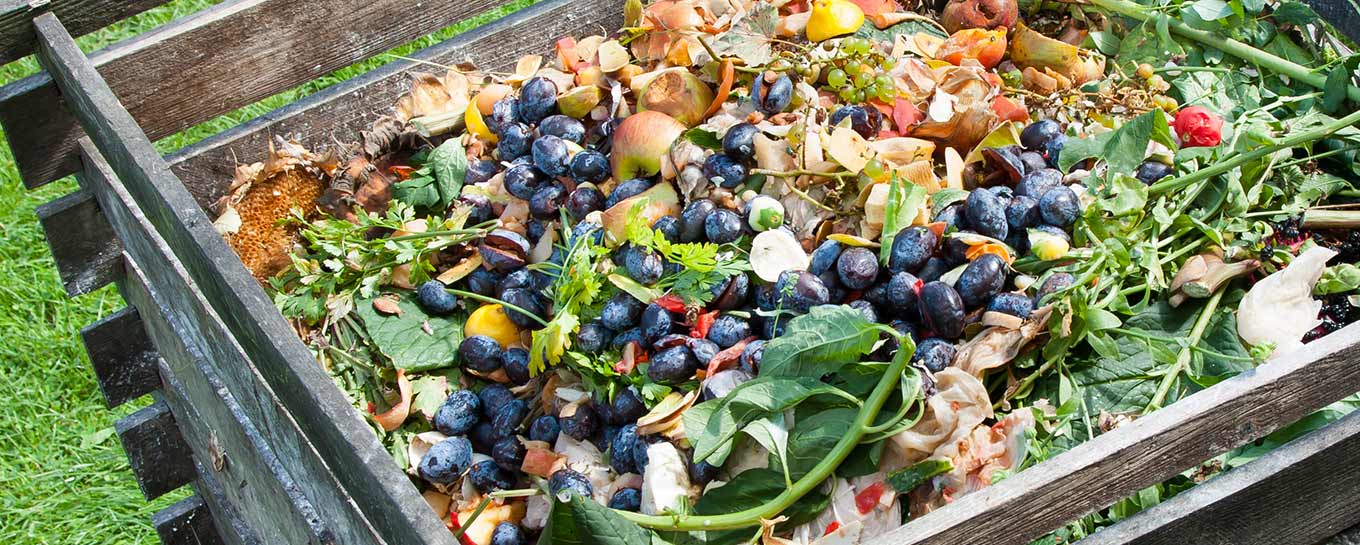 REMEX Nord recycelt organische Abfälle aus der Lebensmittelindustrie